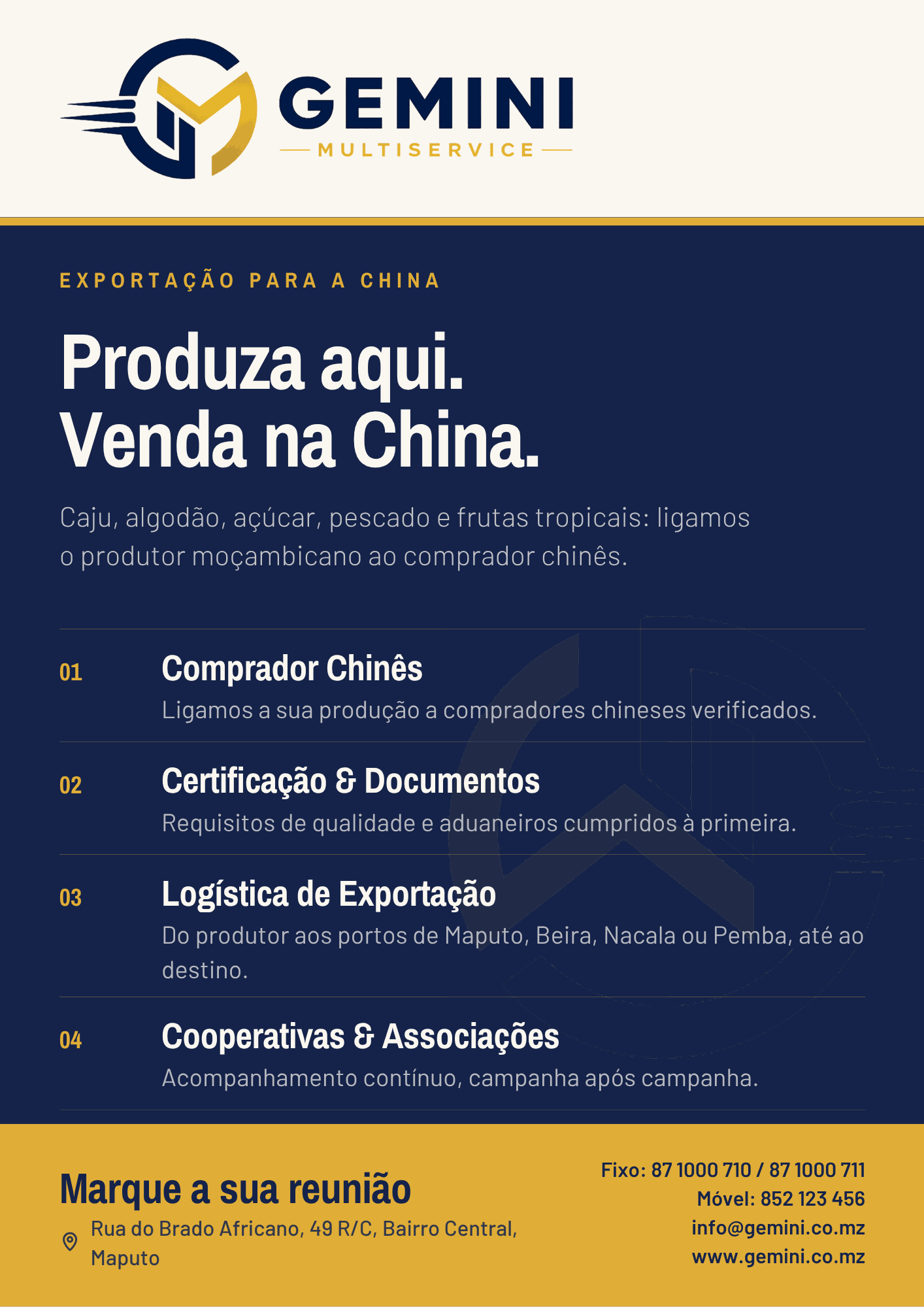 Cartaz do pacote Exportação para a China — Gemini Multiservice